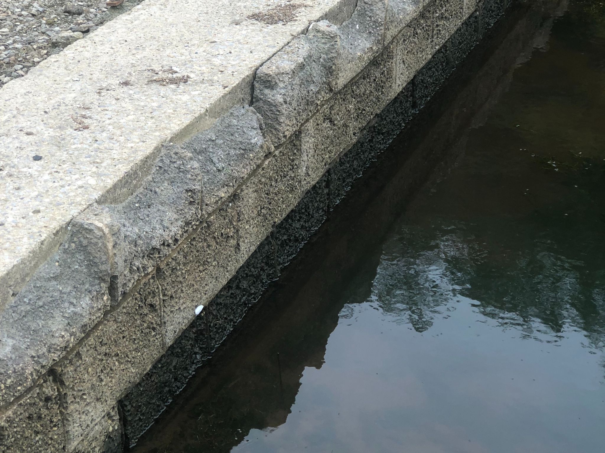 receding water level in the lake